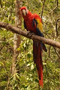 guatemala254
