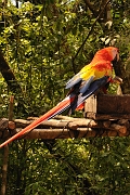 guatemala255