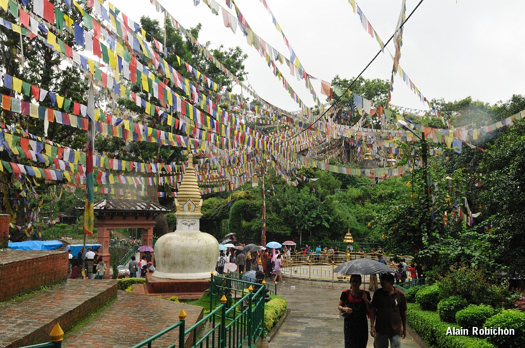 _AR03471.jpg