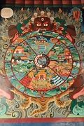 _AR03491