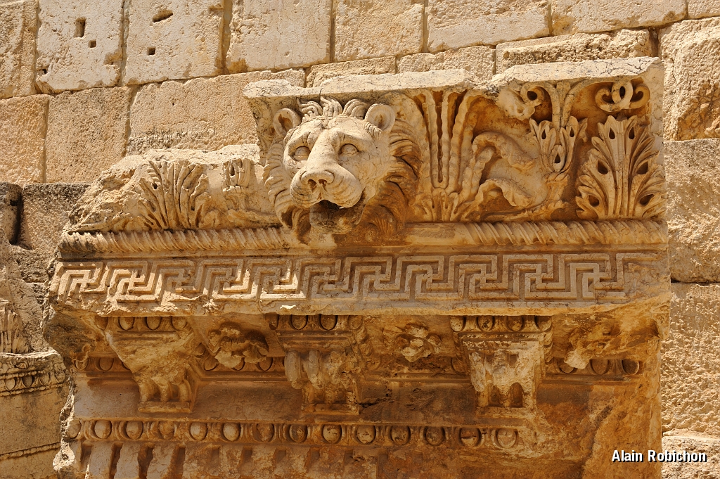_DSC0485.jpg