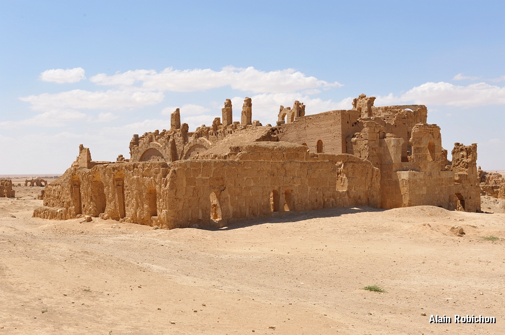 _DSC0788.jpg