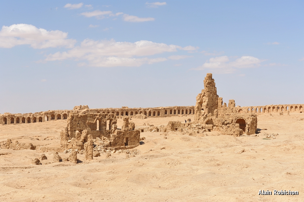 _DSC0798.jpg