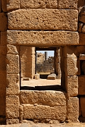 _DSC0445