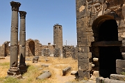_DSC0450