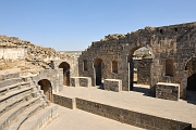 _DSC0455