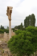 _DSC0498