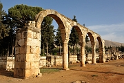 _DSC0500