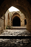 _DSC0553