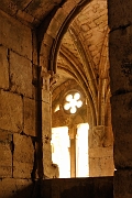 _DSC0558