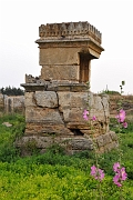 _DSC0580