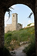 _DSC0592