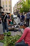 _DSC0674