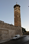 _DSC0755