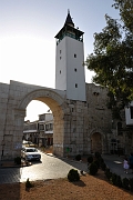 _DSC0940