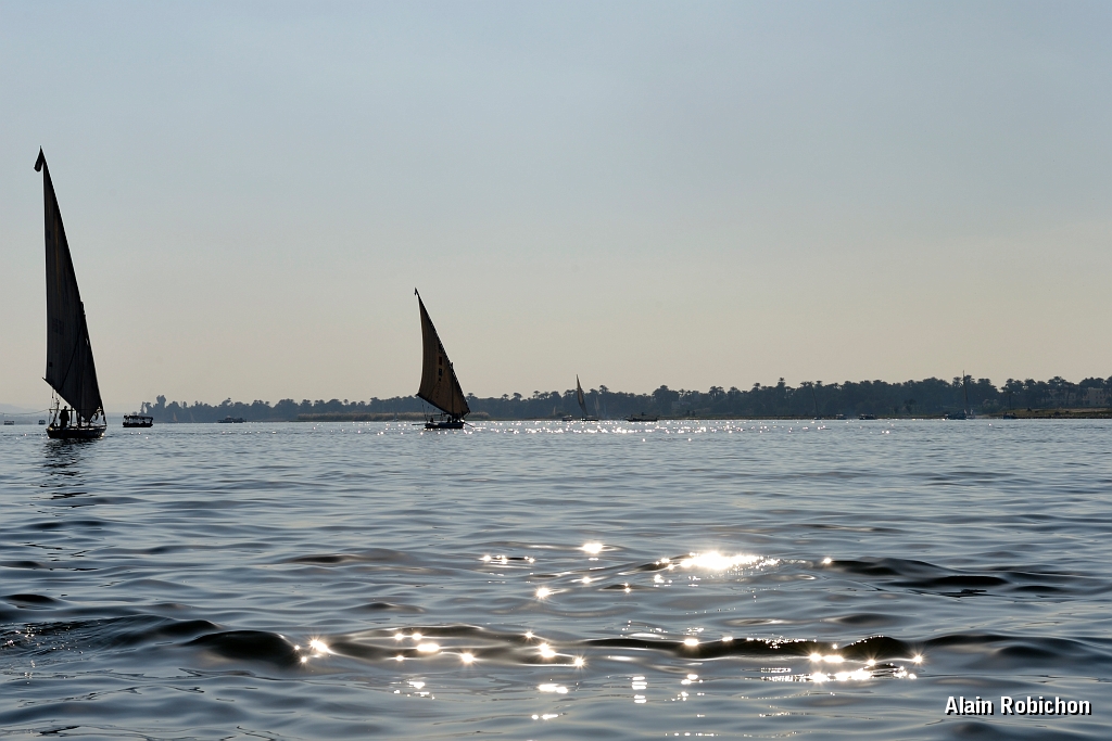 _DSC1644.jpg