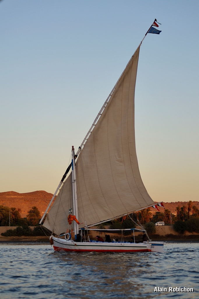 _DSC1954.jpg