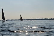 _DSC1644