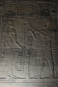 _DSC1801