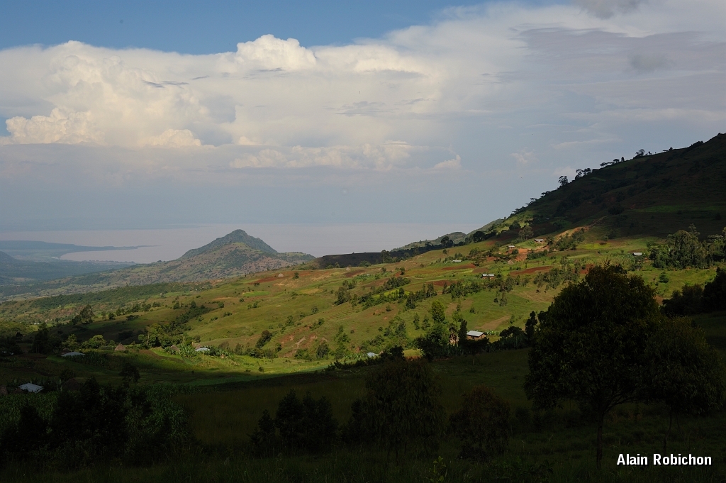 _DSC3503.jpg