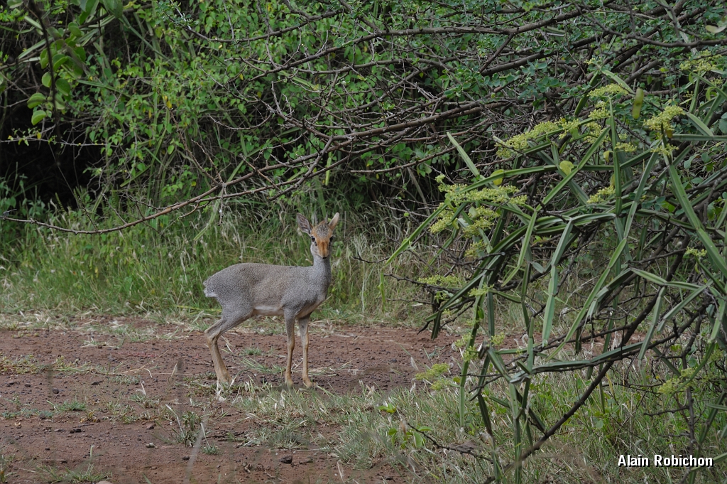 _DSC3537.jpg