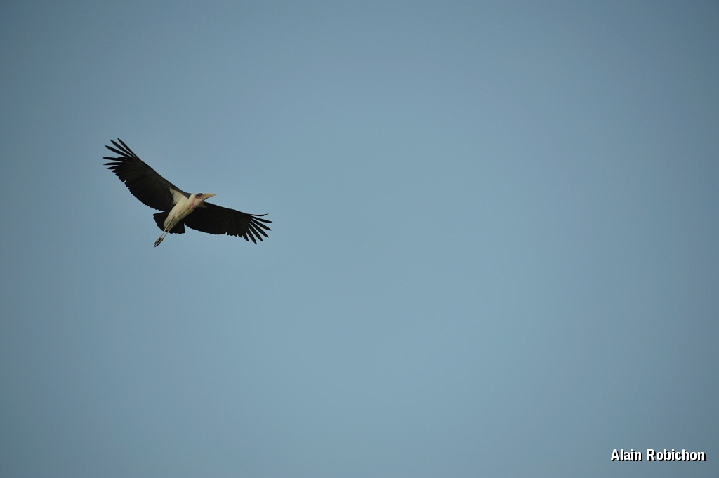 _DSC3544.jpg
