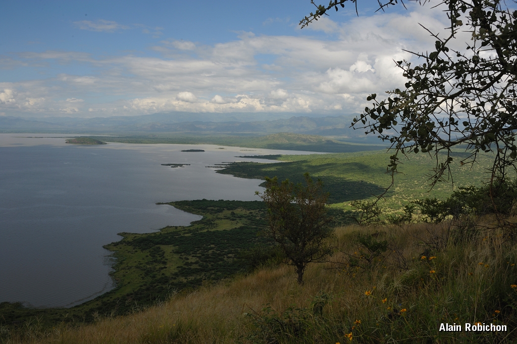 _DSC3547.jpg