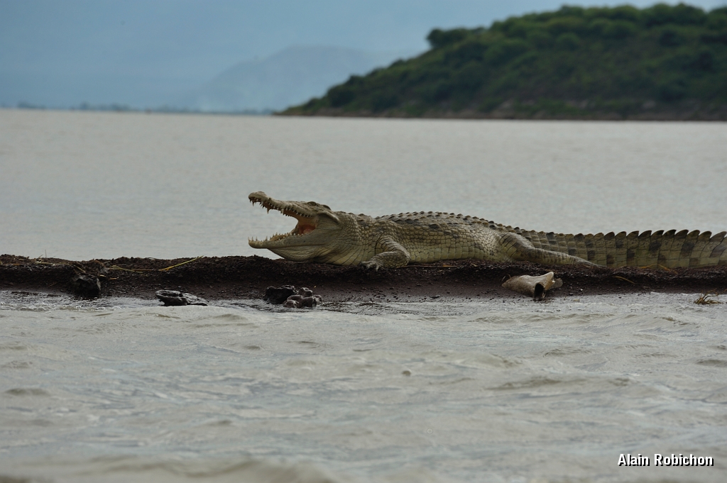_DSC3613.jpg