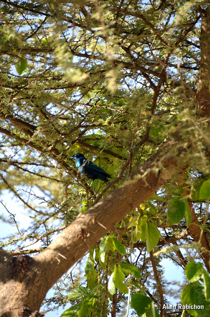 _DSC4040.jpg
