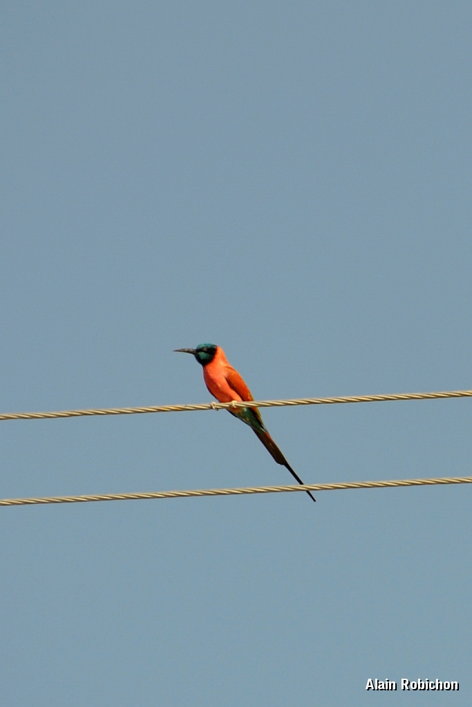 _DSC4041.jpg