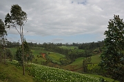 _DSC3471