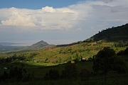 _DSC3503