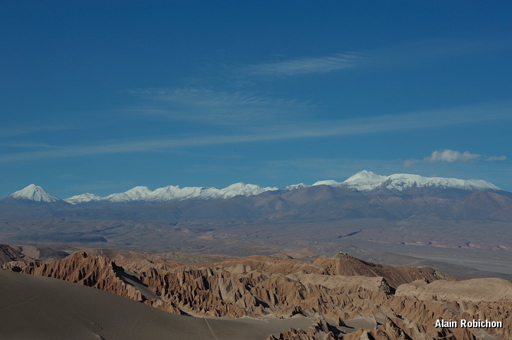 _DSC4424.jpg