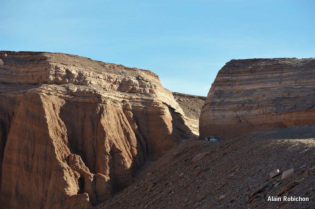 _DSC4426.jpg