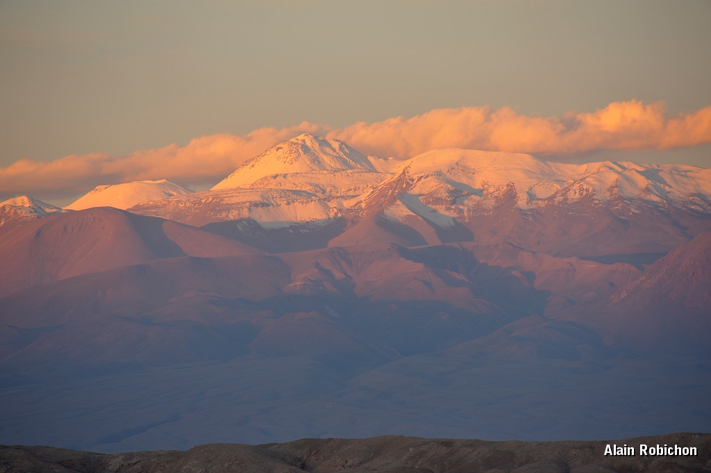 _DSC4463.jpg