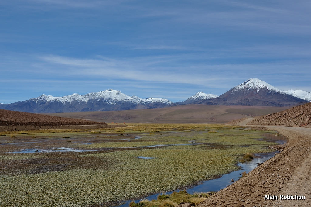 _DSC4525.jpg