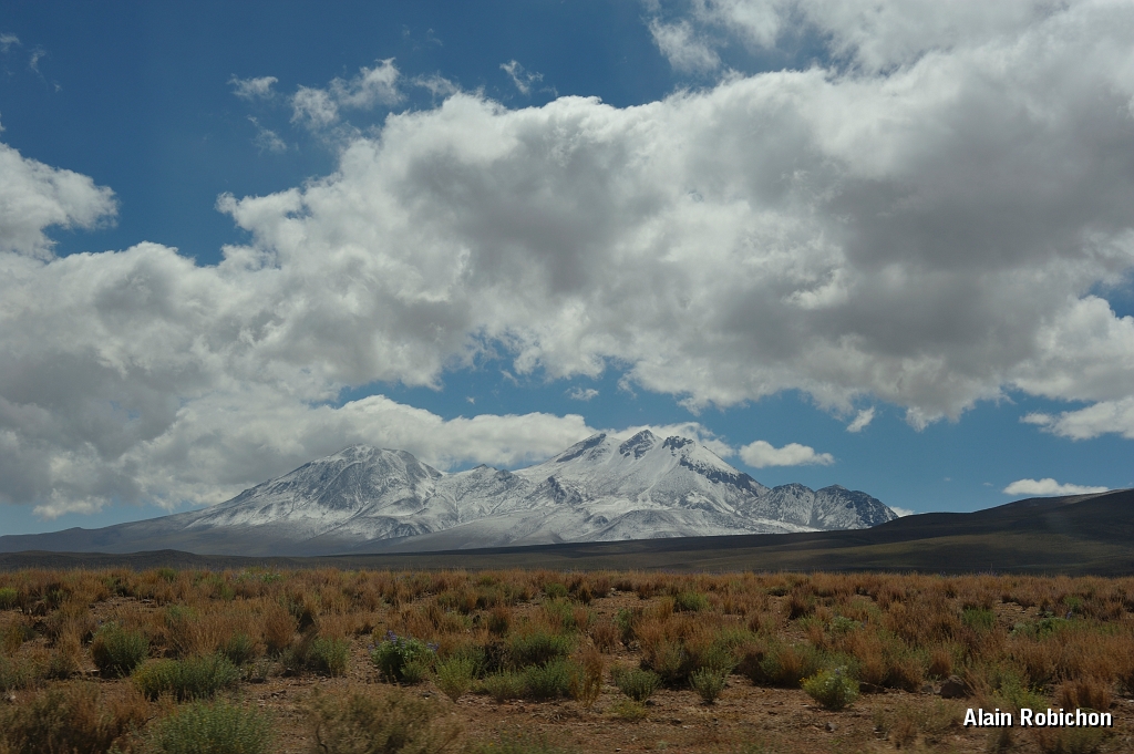 _DSC4554.jpg