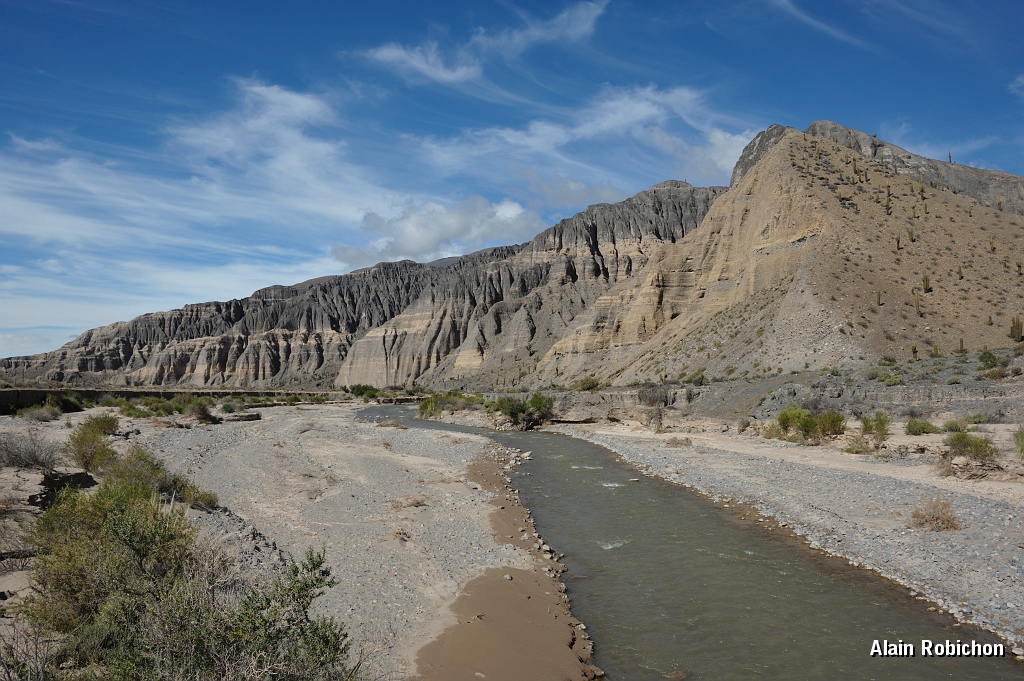 _DSC4605.jpg