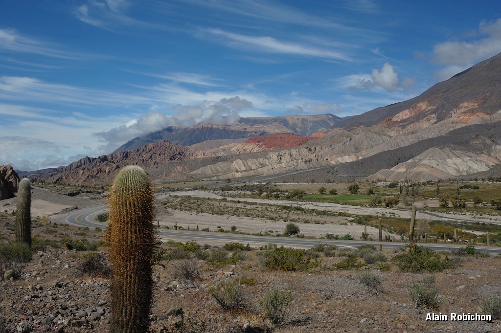 _DSC4609.jpg