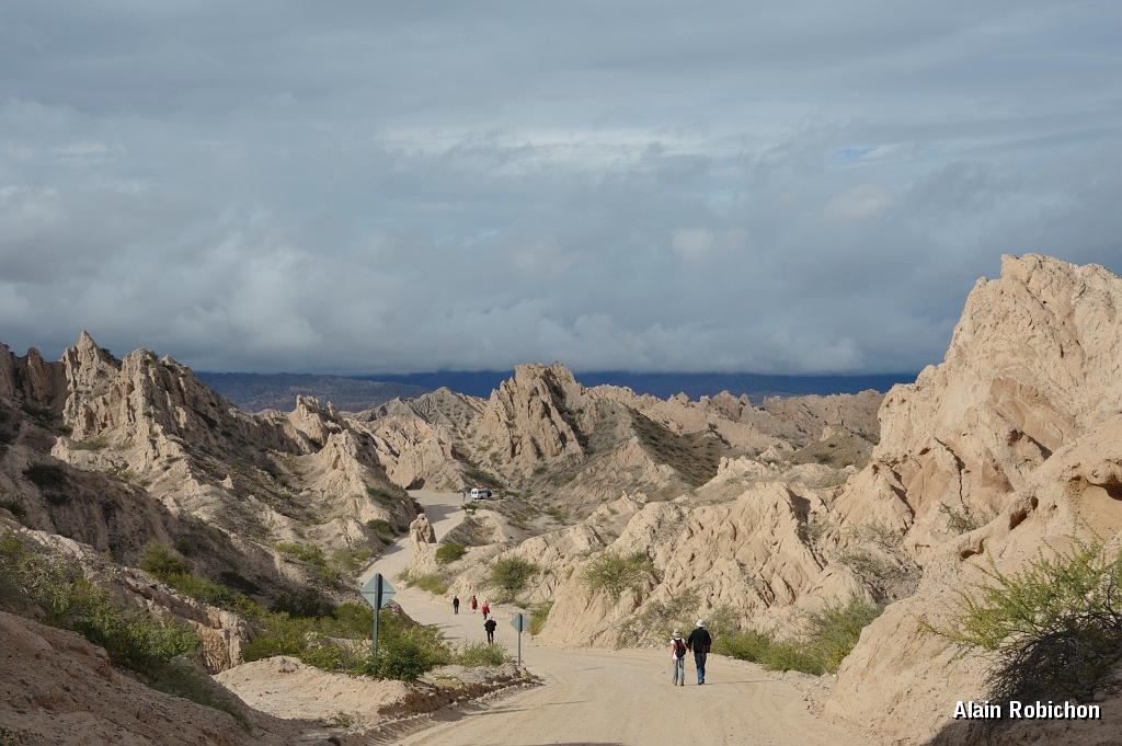 _DSC4650.jpg