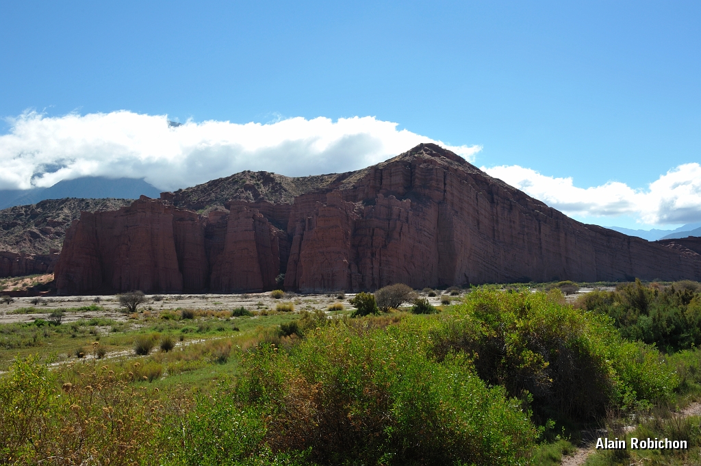 _DSC4664.jpg