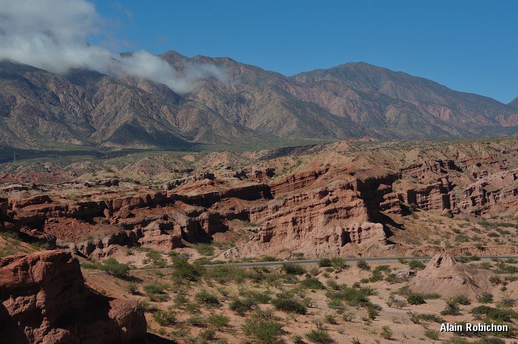 _DSC4673.jpg