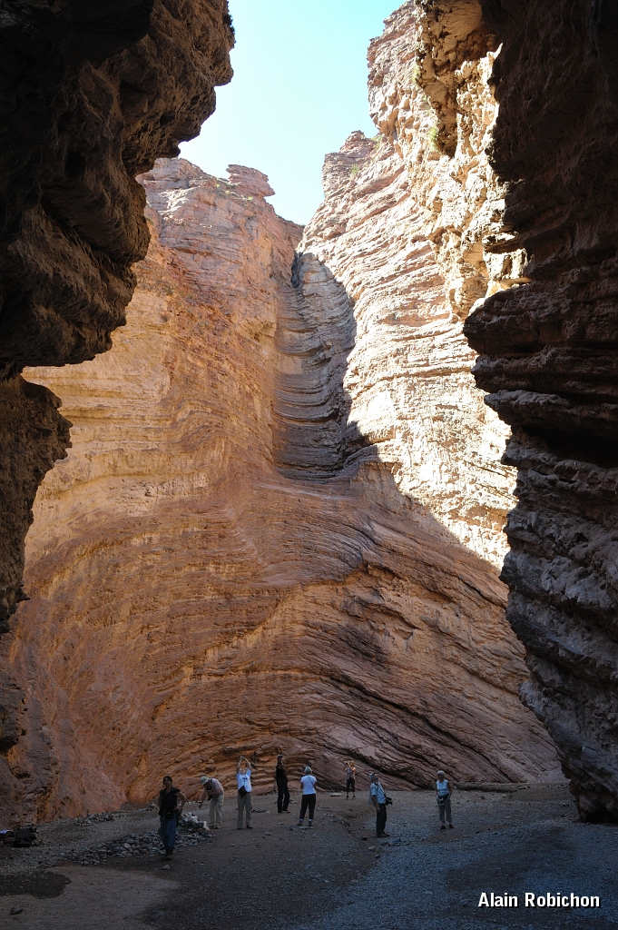 _DSC4682.jpg
