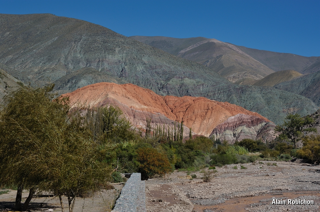 _DSC4728.jpg