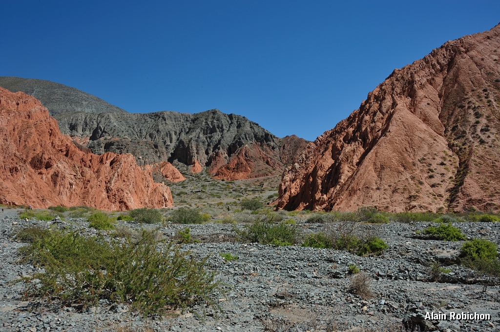 _DSC4734.jpg