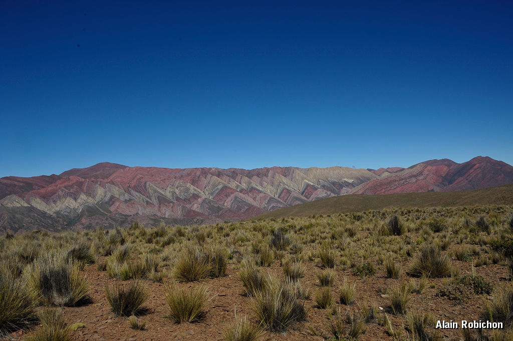 _DSC4783.jpg