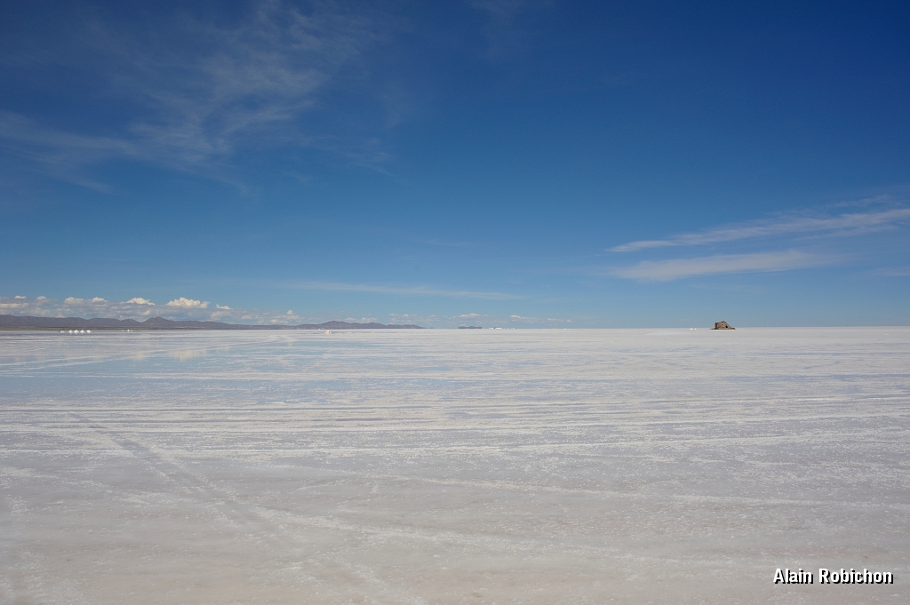 _DSC4905.jpg