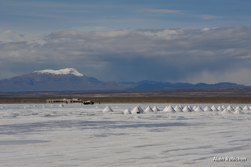 _DSC4910.jpg