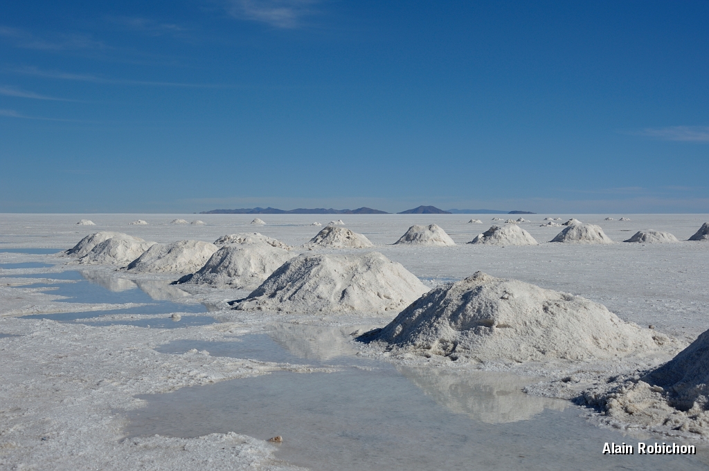 _DSC4925.jpg