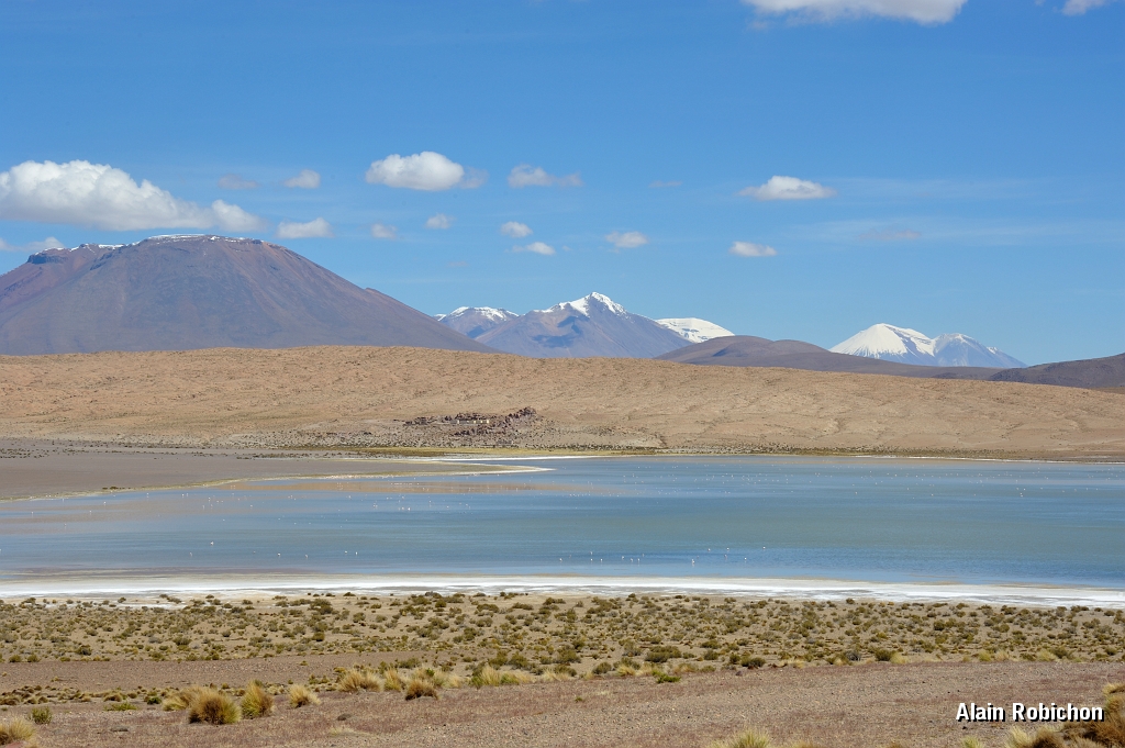 _DSC5016.jpg